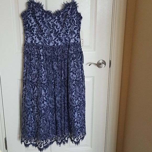 Eliza J Blue Lace Overlay Dress - Picture 2 of 7